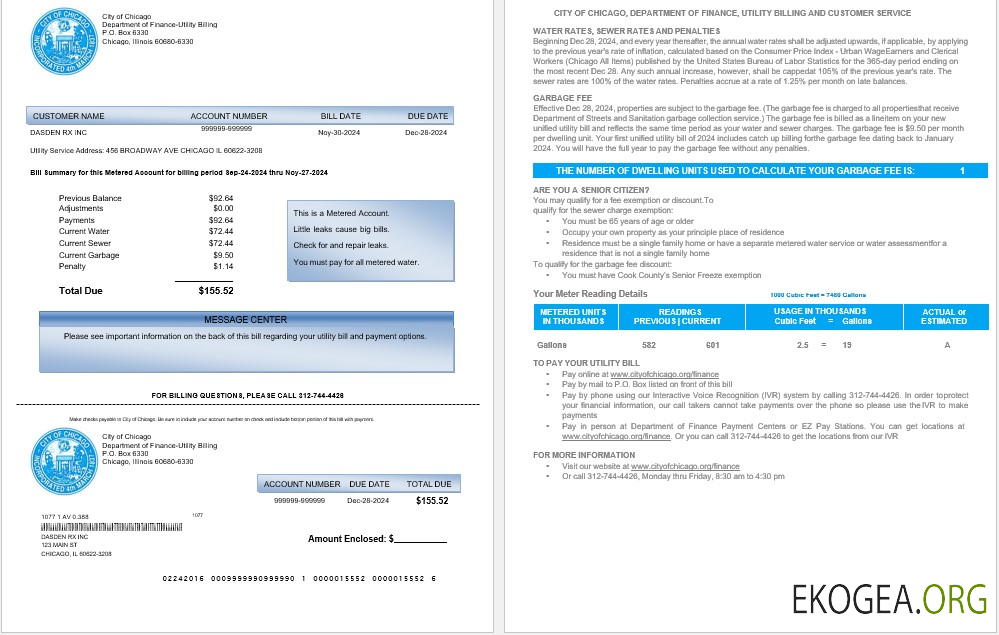 Modèle Word et PDF de facture de services publics de la VILLE DE CHICAGO des États Unis
